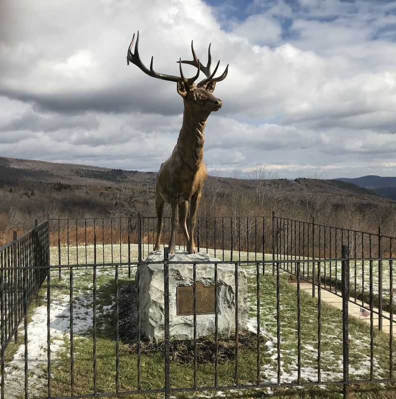 The Elk Statue of Whitcomb Summit.