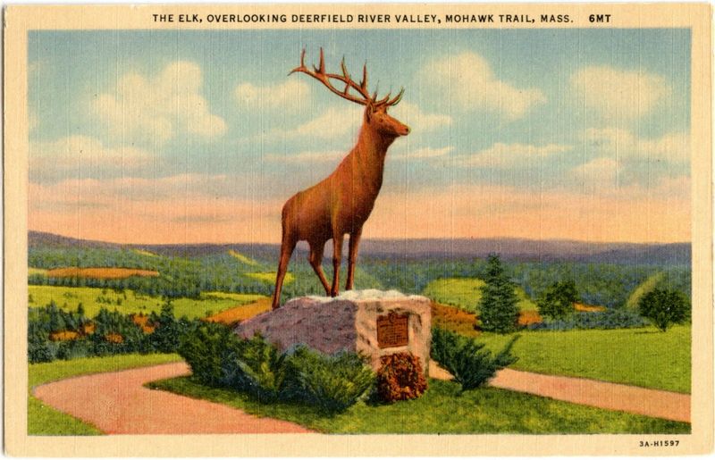 The Elk at Whitcomb Summit.